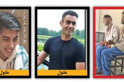 قتل هولناک پدر و پسر نکایی به‌دست جوان 19ساله چگونه رقم خورد؟