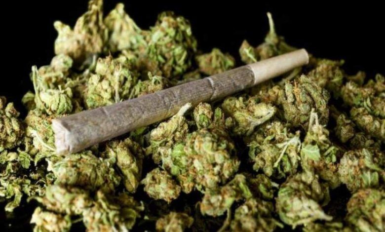 ببینید: دلیل افزایش مصرف ماده مخدر گل چیست