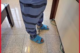 مجرم فوق حرفه‌ای: از روی شگردهای من می‌توان چندین فیلم ساخت