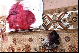 همسر کشی با سه ضربه پتک