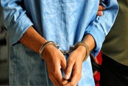 سارق مسلح تلفن همراه دستگیر شد