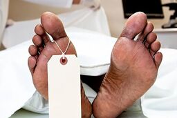 ۲۰۷ مادرِ قاتل، راز جنایت چیتگر را لو داد