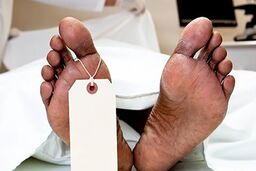 ۲۰۷ مادرِ قاتل، راز جنایت چیتگر را لو داد