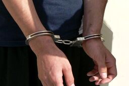 کارآگاه‌بازی مالباختگان دزد خانه‌ها را به تله انداخت