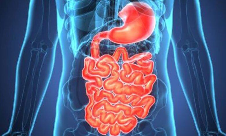 ۶ راهکار برای مراقبت بهداشتی از دستگاه گوارش