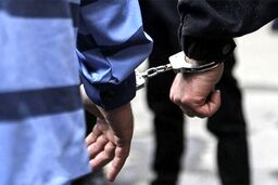 معاون دادگستری تهران: سرقت کاهش یافته است