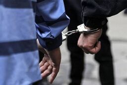 معاون دادگستری تهران: سرقت کاهش یافته است