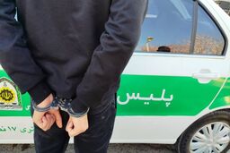خودروی جامانده، راز قتل نگهبان پارک را برملا کرد