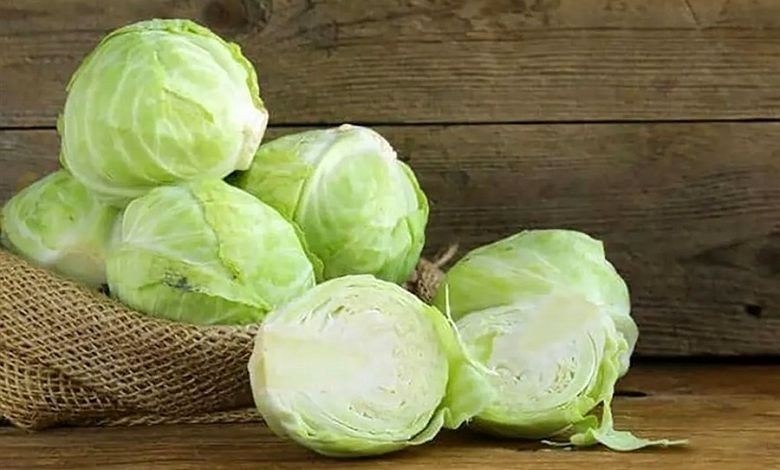 خواص کلم خام را بشناسیم