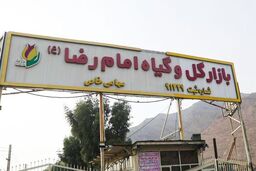 احتمال پلمب یک بازار گل و گیاه در تهران