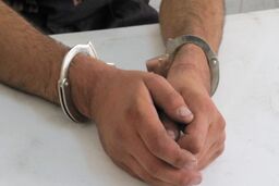 دوستم از خانه دزدی کرد، او را به قتل رساندم