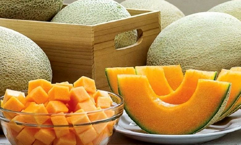 آیا ملون میوه‌ای تراریخته و مضر برای سلامتی است؟