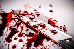 قتل دوست صمیمی به خاطر علاقه مشترک به یک دختر