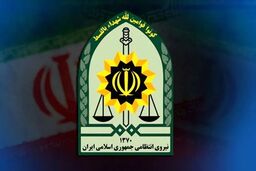 خسارت جزئی ساختمان پلیس تهران در پی اصابت ریزپرنده