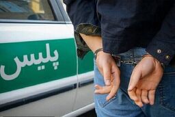 بازداشت ٣ نفر از کارکنان شهرداری این شهر به اتهام اختلاس، ارتشا، جعل مهر و فاکتورسازی