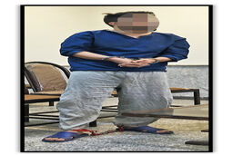 حسادت، انگیزه قتل برادرزاده