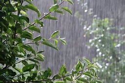 پیش‌بینی وضعیت هوا طی ۳ روز آینده/ رگبار باران در ۱۰ استان