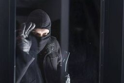 دو سارق حرفه‌ای پس از شناسایی از تصاویر دوربین‌ها دستگیر شدند؛ اعتراف به بیش از ۱۳ فقره سرقت منزل