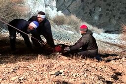 مرگ دو زن در حادثه سقوط خودرو به دره در بزرگراه شهید خرازی