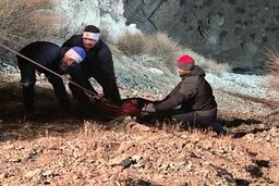 مرگ دو زن در حادثه سقوط خودرو به دره در بزرگراه شهید خرازی