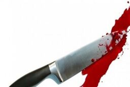 قتل برادر بزرگ‌تر در دعوای خانوادگی  به خاطر رفتن  سر کار