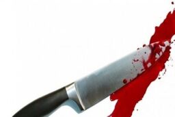 قتل دوست صمیمی به خاطر گوشی تلفن و فیلم مستهجن