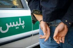 دستگیری سارقان لوازم خودرو 