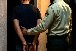 قتل هولناک مادر با ۸۶ ضربه چاقو