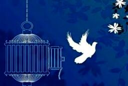 بخشش قاتل در واپسین لحظات اجرای حکم