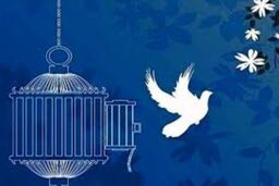 بخشش قاتل در واپسین لحظات اجرای حکم
