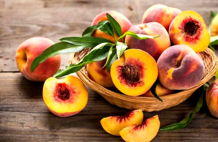 این میوه تابستانی خواص دارویی بی نظیری دارد