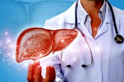 تغذیه مناسب برای تقویت سلامت کبد