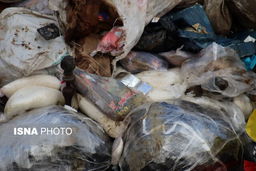 کشف ۵۸ کیلوگرم مواد مخدر از قاچاقچی سابقه دار در قطار