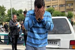 نامزدم پیشنهاد ربودن دوست دختر سابقم را داد