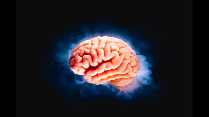 نقش کلسترول در عملکرد مغز چیست؟