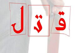 ماجرای قتل پیرزن تنها با انگیزه سرقت ۱۲ حلقه النگو