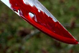 وقوع قتل پس از متلک‌پرانی خیابانی