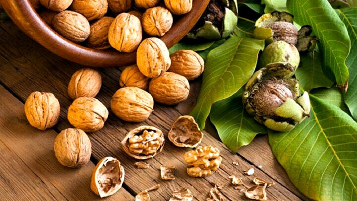 این آجیل خواب خوب را تضمین می‌کند