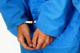 صدور کیفرخواست علیه قاتل دکتر زهرا میرزایی، روانشناس معروف