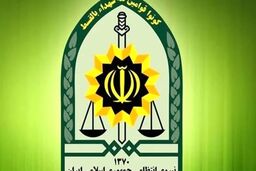 فرماندهی انتظامی هرمزگان: پلیس خاطی در حادثه تیراندازی منجر به فوتِ‌ یک شهروند بازداشت شد