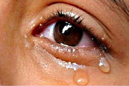 شوهر صیغه‌ای می‌گوید من زنی هوسران و مزاحم هستم