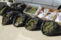 پلیس شهرری بزرگ‌ترین محموله ماری‌جوانا در سال جاری را کشف کرد