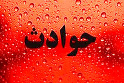 ماه عسل مرموز؛ چه بر سر نوعروس آمده است؟