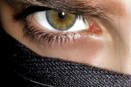 بدشانسی باورنکردنی سارق حرفه‌ای: دختر مورد علاقه ام خواهر مالباخته از آب در آمد