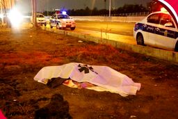 حادثه مرگبار برای جوان 20 ساله در بزرگراه شیخ فضل الله