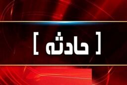 حادثه برای یک شهروند تهرانی هنگام کار با چرخ گوشت صنعتی