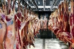 قیمت جدید گوشت قرمز امروز ۵ خرداد ۱۴۰۵ / گوشت خورشتی کیلویی چند شد؟ + جدول