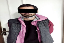 پلنگ صورتی در مشهد دستگیر شد