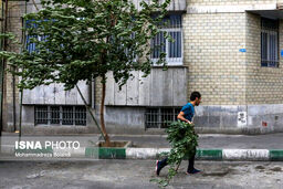 هشدار نسبت به وزش باد خیلی شدید در تهران