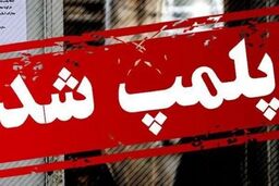 اینترنت استارلینک کار دست این واحدهای صنفی داد
